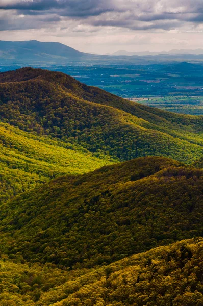 Spring colors in the Appalachians, seen from Blackrock Summit in — Stock Photo, Image