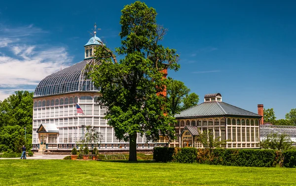 Grand arbre et le conservatoire Howard Peters Rawlings à Druid H — Photo