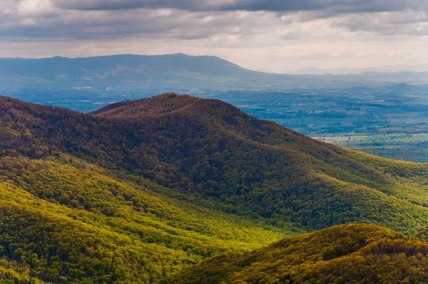 Spring colors in the Appalachians, seen from Blackrock Summit in — Stock Photo, Image
