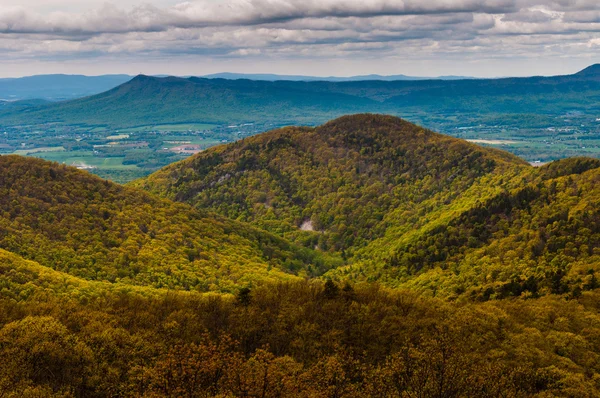 Massanutten tepe ve blue ridge dağlarının skyli gelen görünümü — Stok fotoğraf