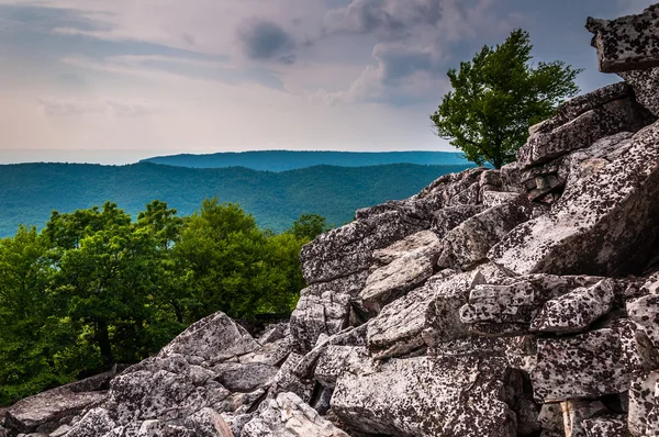 Weergave van de Appalachen vanaf de boulder bedekte hellingen van dunc — Stockfoto