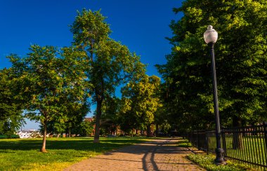federal hill, baltimore, ağaçlarda lamba ve tuğla yol ma