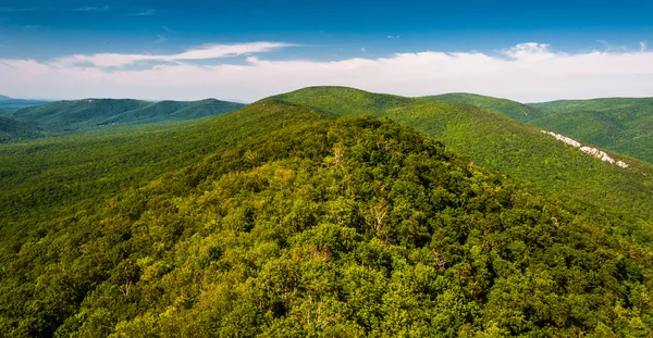 View of the Ridge and Valley Appalachians from Big Schloss, in G — Stock Photo, Image