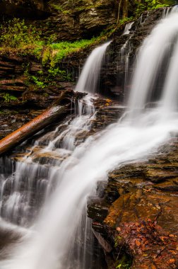 Shawnee, düşer ricketts glen state park, pennsylvania.