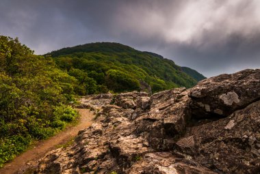 The Appalachian Trail, on Little Stony Man Cliffs in Shenandoah clipart