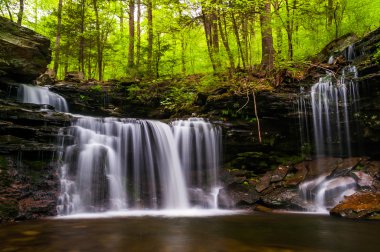 şelale mutfak Creek ricketts glen state Park, pennsylv