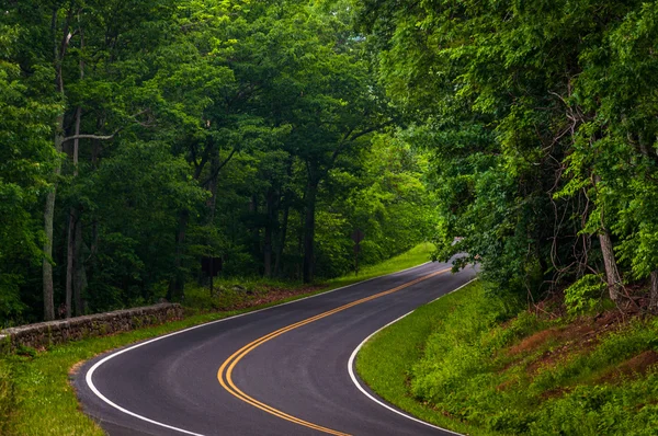 Curva a lo largo de Skyline Drive en el Parque Nacional Shenandoah, Virginia . — Foto de Stock