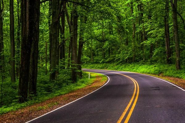 Curva a lo largo de Skyline Drive en el Parque Nacional Shenandoah, Virginia . — Foto de Stock