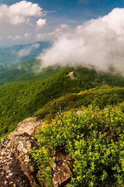 Fog and low clouds over the Blue Ridge Mountains, seen from Litt — Stock Photo, Image