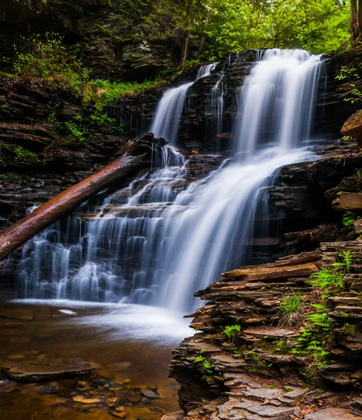 Shawnee Falls, at Ricketts Glen State Park, Pennsylvania. — Stock Photo, Image