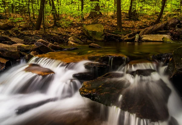 Små vattenfall längs glen leigh, ricketts glen state park, penns — Stockfoto