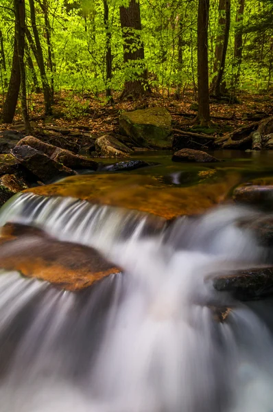 Small cascades along Glen Leigh, Ricketts Glen State Park, Penns — Stock Photo, Image