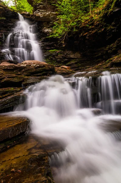 Cascada alta y cascadas en Kitchen Creek en Ricketts Glen St — Foto de Stock