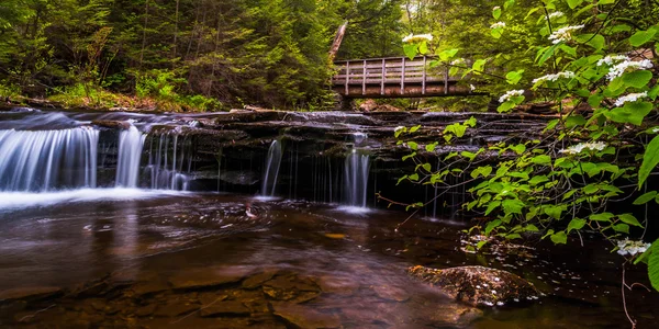 Ponte a pé e cascatas em Kitchen Creek em Ricketts Glen St — Fotografia de Stock