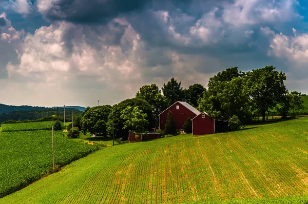 Nuvens escuras sobre um celeiro e campos agrícolas no sul rural de York C — Fotografia de Stock