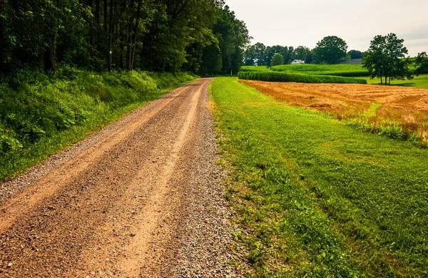 Dirt road in the rural countyside of Southern York County, Penns — Stock Photo, Image