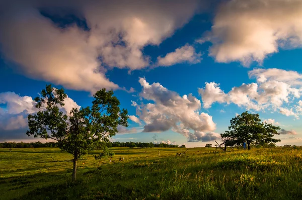 Kvällen moln över träden i stora ängar, shenandoah national pa — Stockfoto