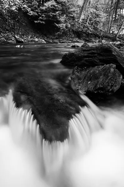 Small cascade in a stream at Tacquan Glen, in Lancaster County, — Stok fotoğraf
