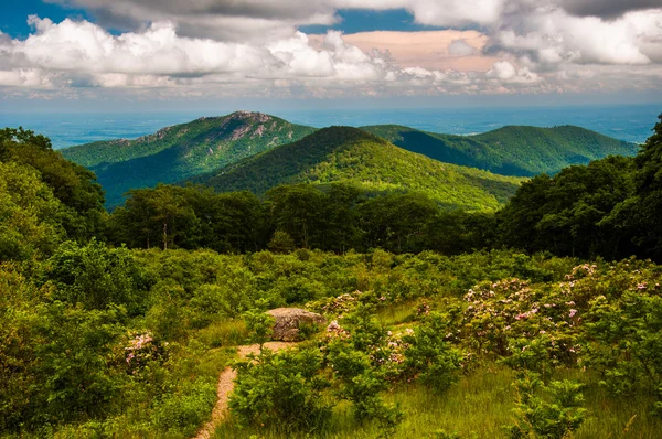 Prairie et vue sur Old Rag depuis une vue sur Skyline Drive à — Photo