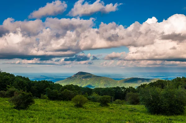 Prairie et vue de la montagne Old Rag sur Skyline Drive à Shenando — Photo