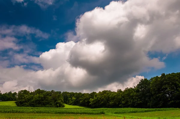 Gezwollen zomer wolken boven boerderij velden op een heuvel in zuidelijke york — Stockfoto
