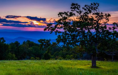 günbatımı üzerinde appalachians ve çayır shenandoah ağacında na