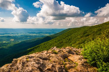 shenandoah Vadisi ve blue ridge sayfasından ŞA Hilal kaya