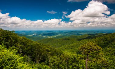 piedmont shenandoah milli park manzarası sürücüden görünümünü,