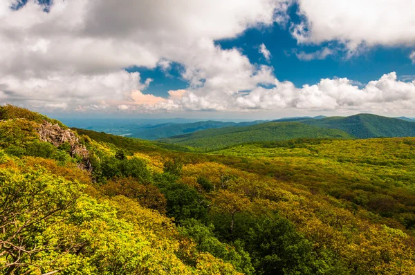 Kolor wiosny w blue ridge mountains, widziany z kamienistym człowieka mo — Zdjęcie stockowe