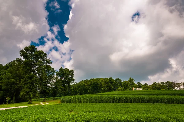 Summer storm moln över gården fält i södra york county, pa — Stockfoto