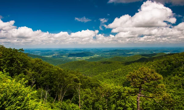 View of Piedmont from Skyline Drive in Shenandoah National Park, — Stock Photo, Image