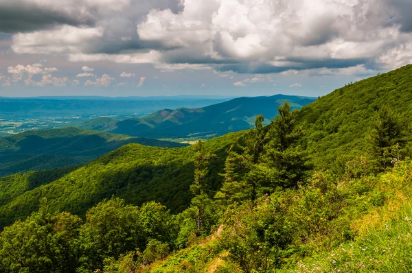 Vue sur la crête bleue depuis une vue sur Skyline Drive à Shen — Photo