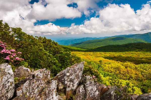 Pohled na blue ridge od útesů na horské kamenité muž v ona — Stock fotografie