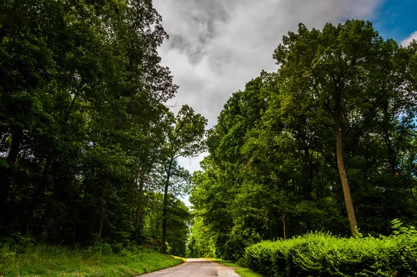 Carretera trasera bordeada de árboles y arbustos en Southern York County, P — Foto de Stock
