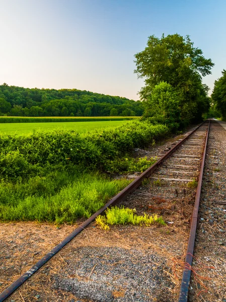 Campi lungo i binari della ferrovia nella contea di York, Pennsylvania . — Foto Stock