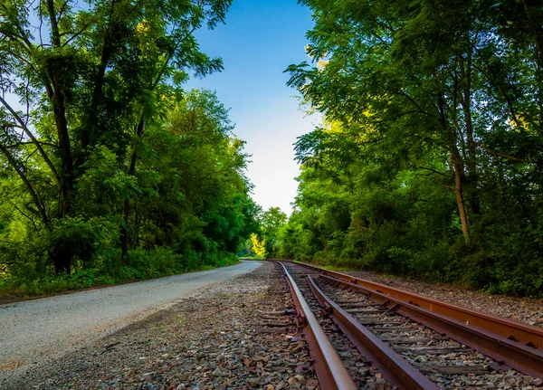 Yor の北の中央鉄道道に沿って線路 — ストック写真