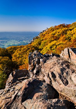 Autumn view of Stony Man Summit and the Shenandoah Valley, from clipart