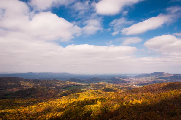 Vista de otoño del valle de Shenandoah desde Skyline Drive en Shena — Foto de Stock