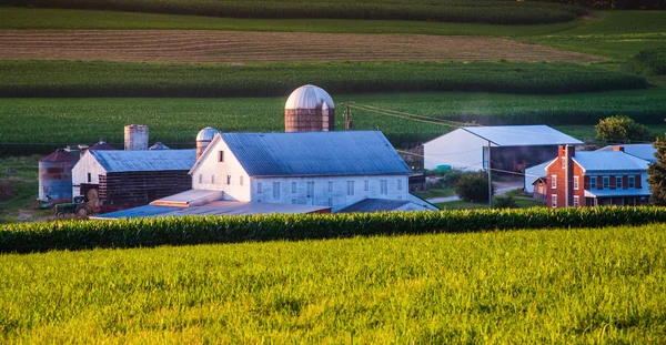 Scheune und Haus auf einem Bauernhof im ländlichen Kreis York, Pennsylvania. — Stockfoto