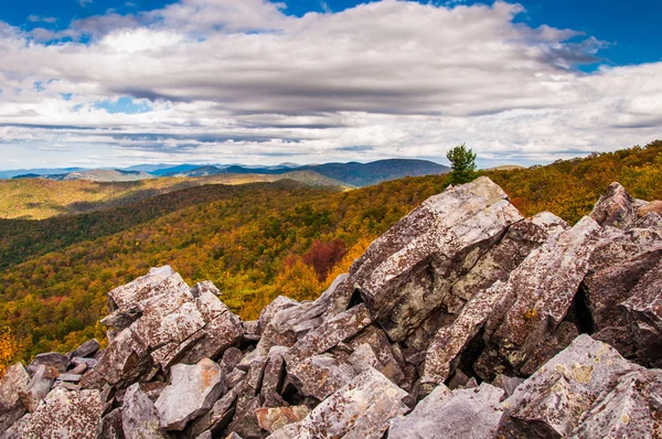 Vista de otoño de las montañas Blue Ridge desde la roca cubierta — Foto de Stock