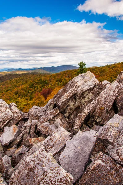 Widok jesienny blue ridge mountains z objętych głaz — Zdjęcie stockowe
