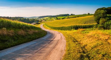 tarım alanları kırsal york county, pennsylva bir ülkede yol boyunca