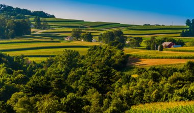 Güney york county, pennsyl içinde inişli çıkışlı tepeler ve çiftlikleri görünümü