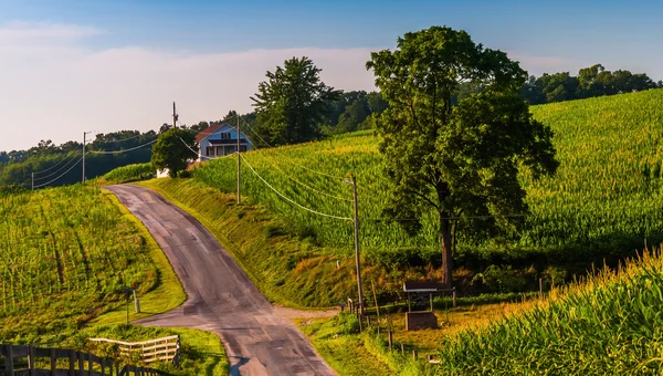Farm fields along a country road in rural York County, Pennsylva — Stock Photo, Image