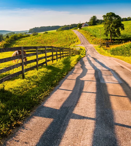 Valla y caballos a lo largo de una carretera rural en el condado de York rural , — Foto de Stock