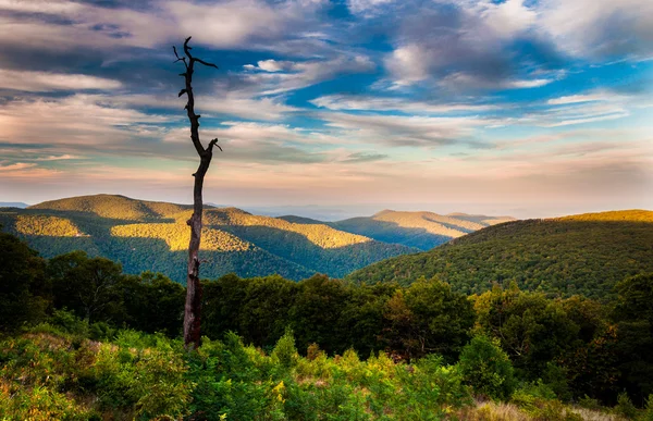 Vista serale degli Appalachi da Thoroughfare Overlook, alo — Foto Stock