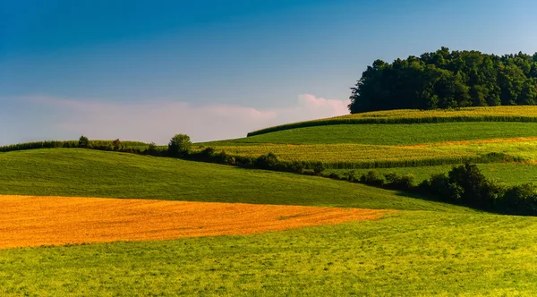Tepeler ve tarım alanları kırsal Güney york county, kalem — Stok fotoğraf