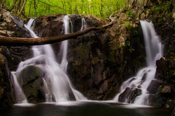 罗斯河瀑布，看到在春天期间在谢南多厄国家公园 — 图库照片