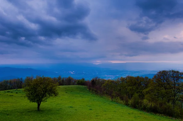 Весенний шторм над долиной Шенандоа и дерево на зеленом холме — стоковое фото