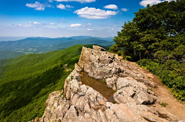 Letní pohled na blue ridge mountains od kamenité mužík, — Stock fotografie